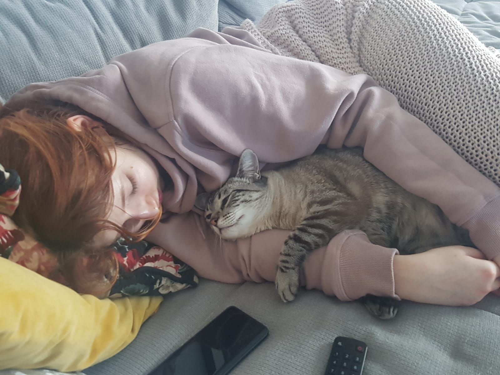 A cute kitty